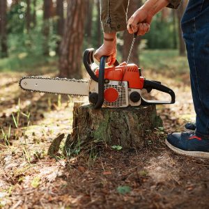 tree-cutting-service